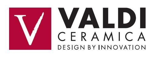 Logo firmy VALDI